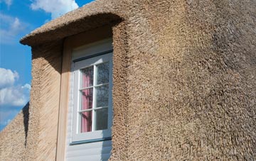 Chardstock thatch roof disadvantages